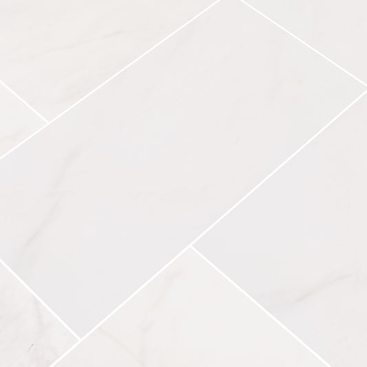 BIANCO DOLOMITE 12X24 POLISHED