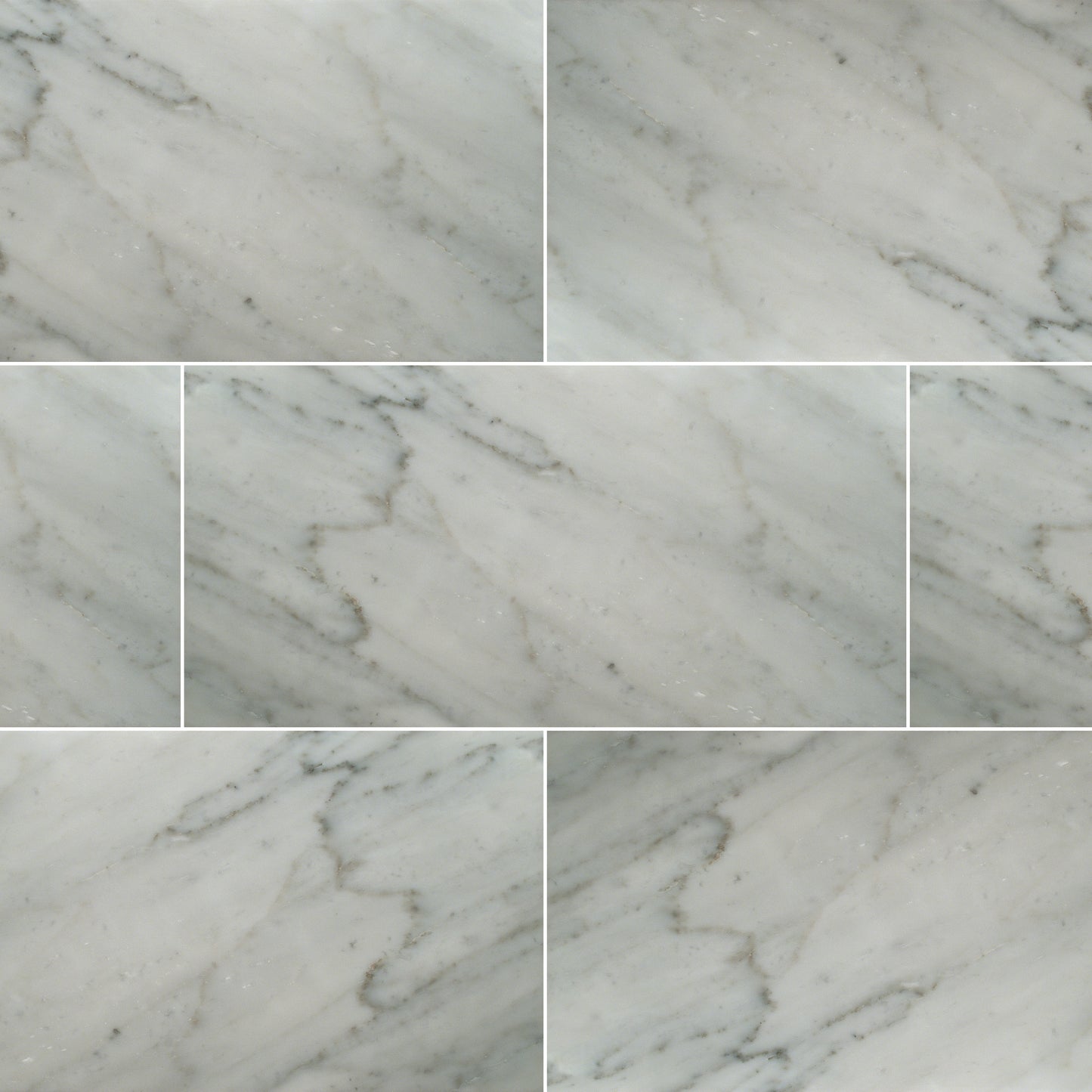 CARRARA WHITE 12X24 HONED