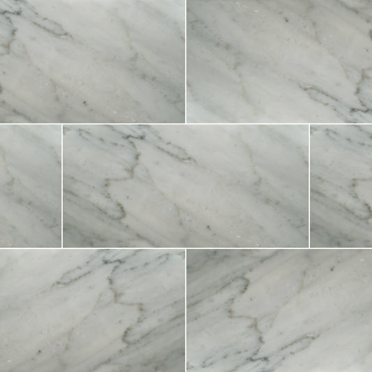 CARRARA WHITE 12X24 HONED