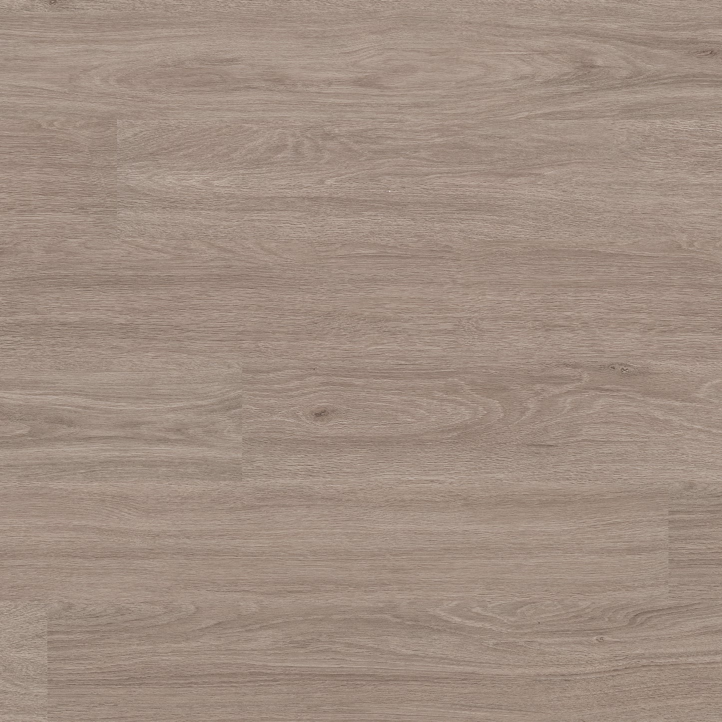 GLENRIDGE BLEACHED ELM 6x48