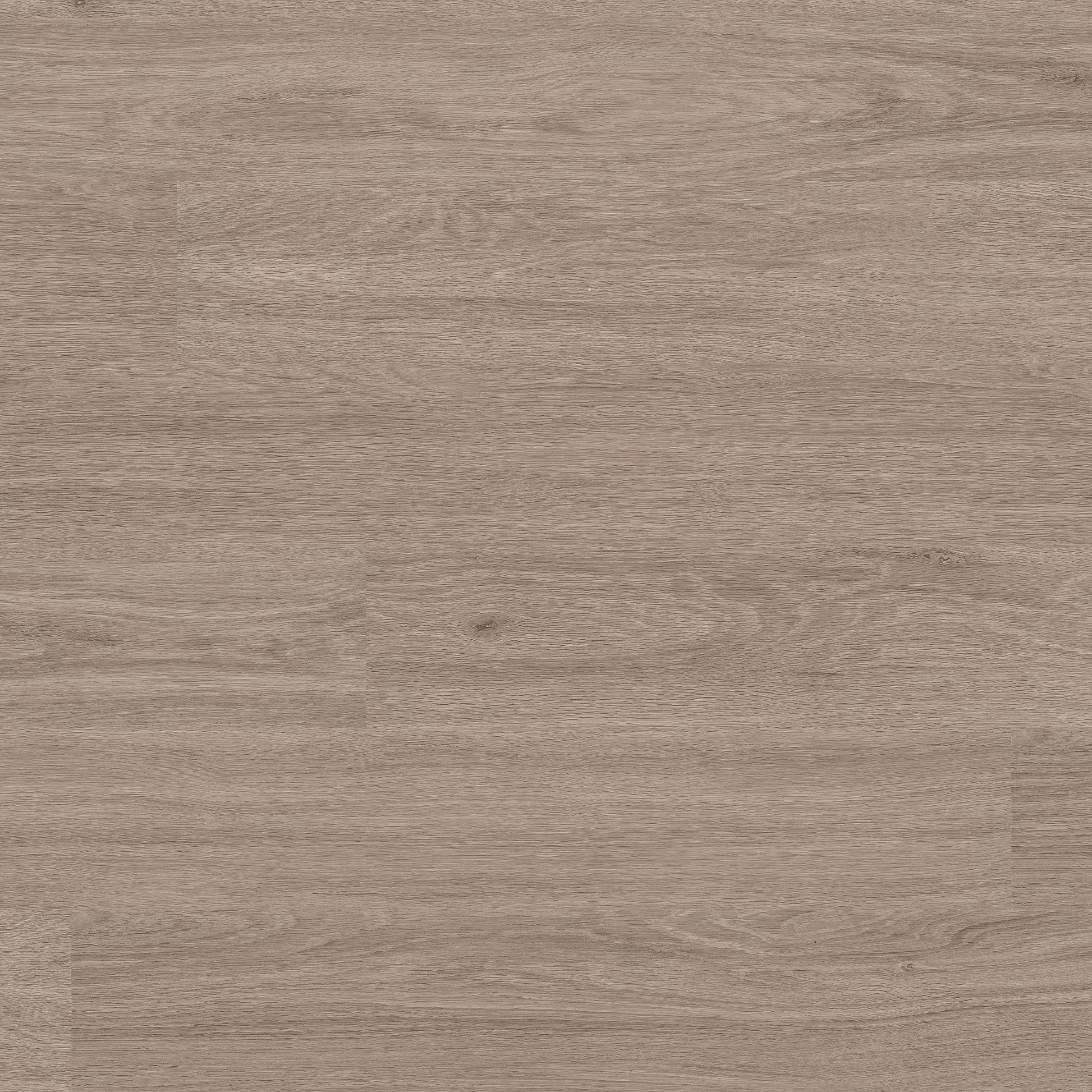 GLENRIDGE BLEACHED ELM 6x48