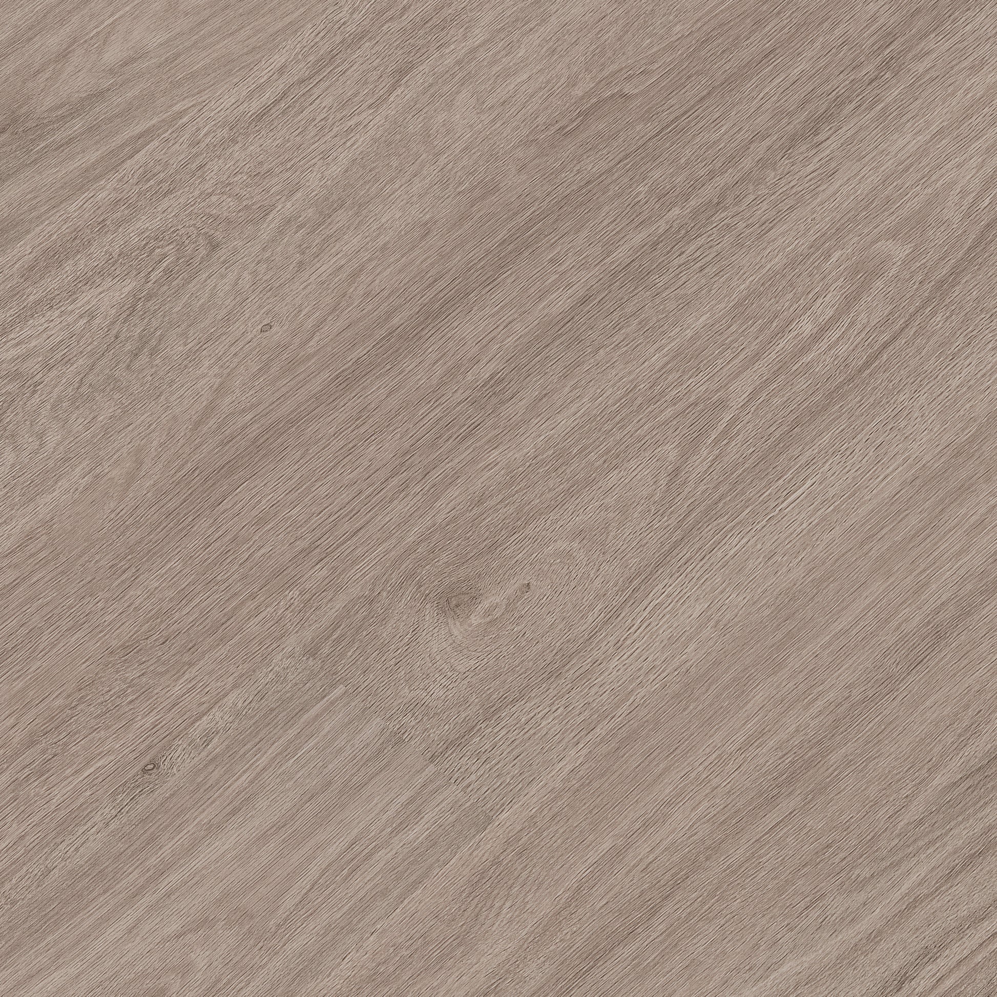 KATAVIA BLEACHED ELM 6x48