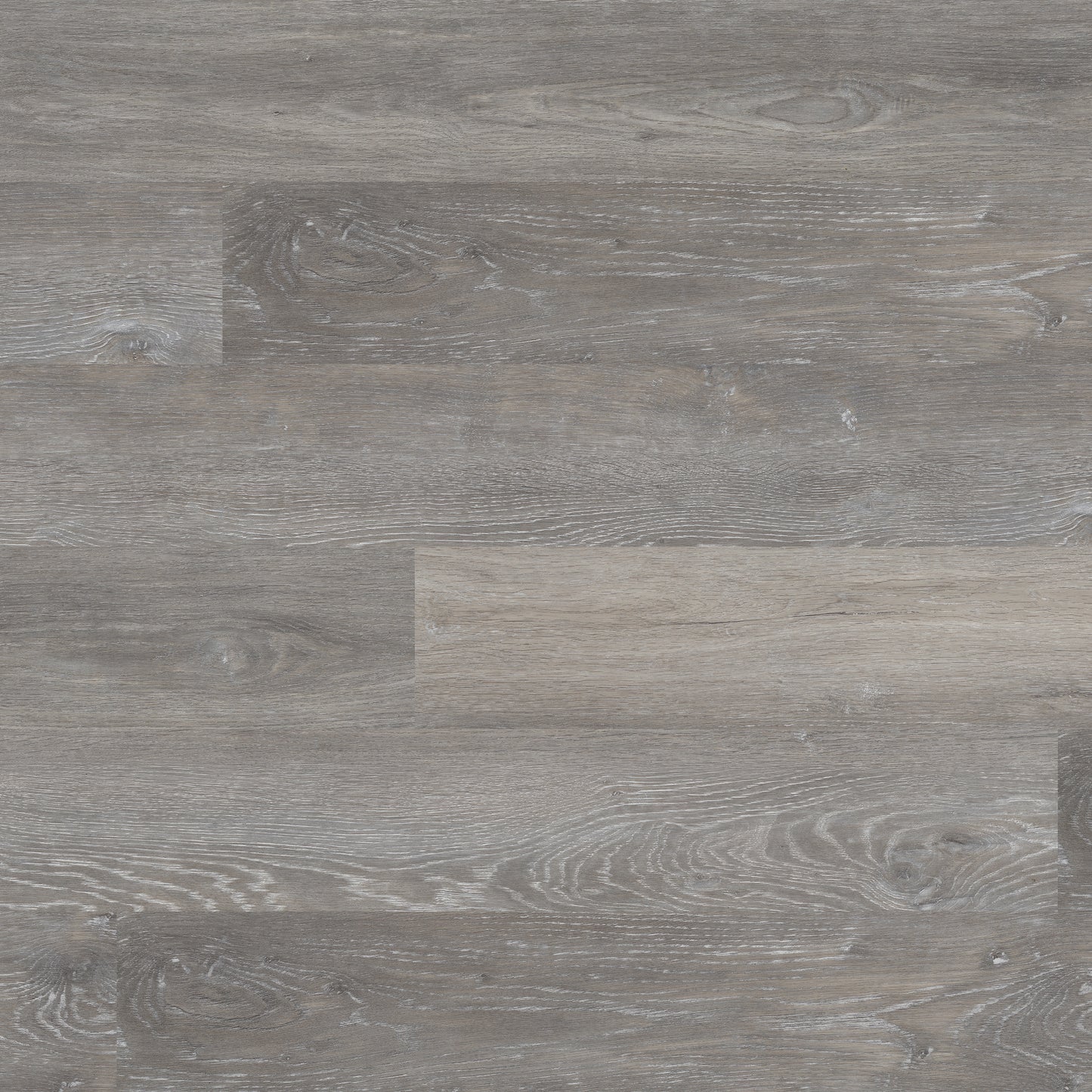 KATAVIA ELMWOOD ASH 6x48