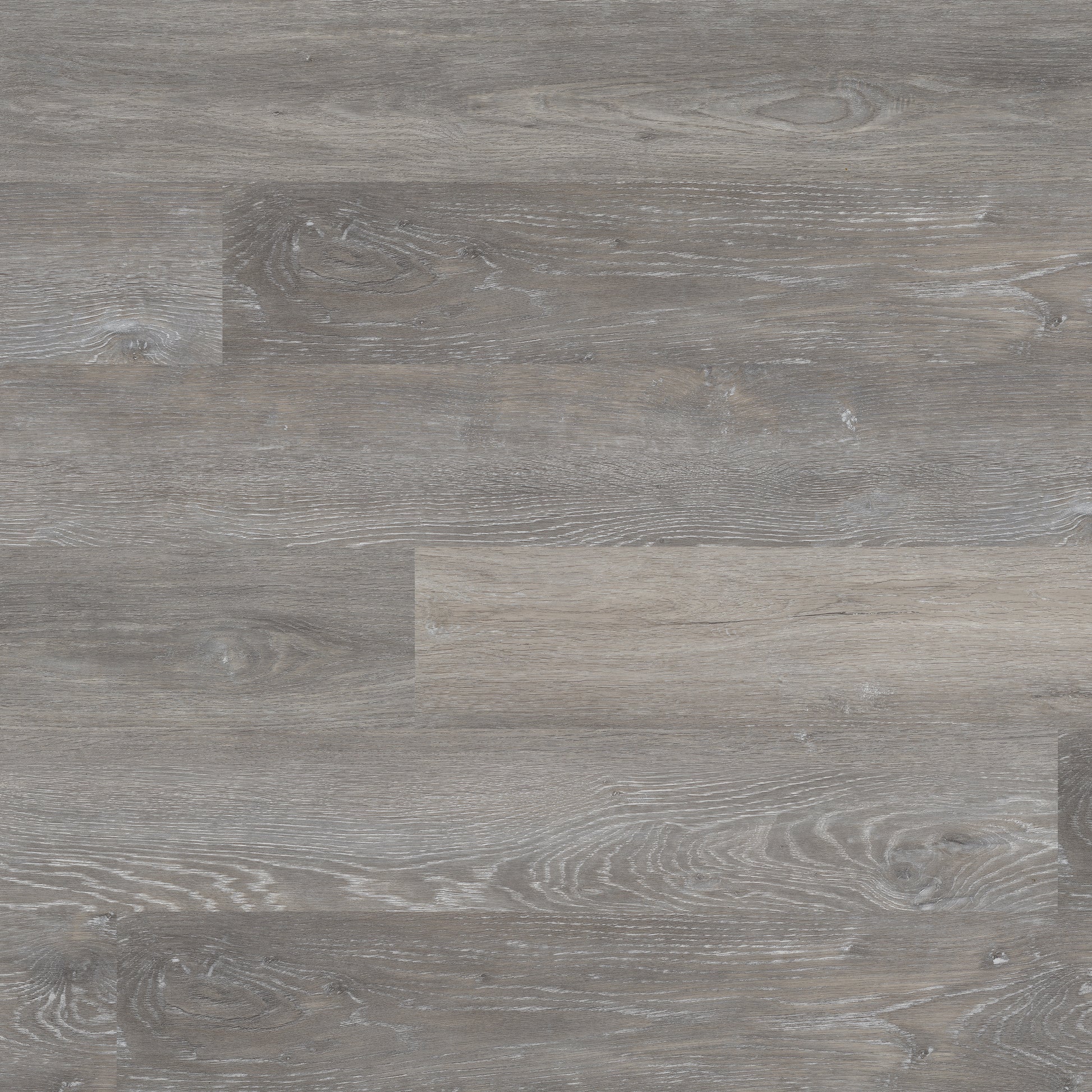 KATAVIA ELMWOOD ASH 6x48