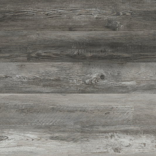 CYRUS BOSWELL 7x48