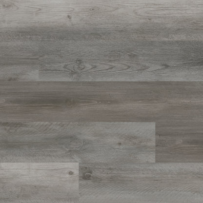 CYRUS KATELLA ASH 7x48