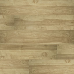 CYRUS BROOKLINE 7x48