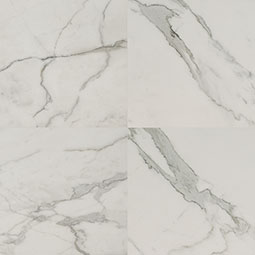 Regallo Calacatta Isla 24X24 Matte