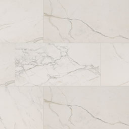 Regallo Calacatta Isla 24X48 Polished