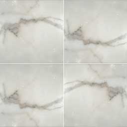 Calacatta Gold 12X12 Honed
