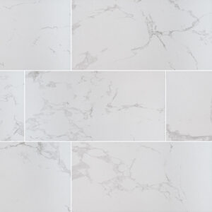 Praia Carrara 24X48 Polished