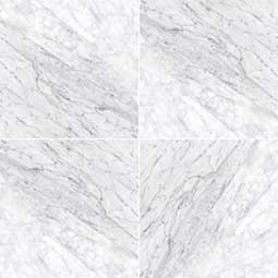 Carrara White (c) 12X12 Honed