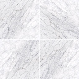 Carrara White (c) 18X18 Honed