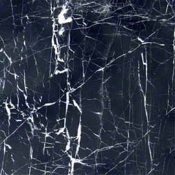 Black With Vein 12X12 Polished
