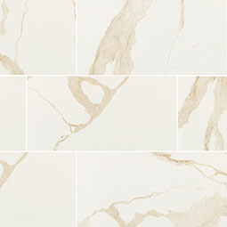 Eden Calcatta 24X48 Matte