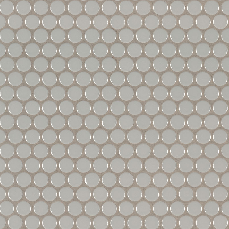 Gray Glossy Penny Round