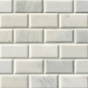 Greecian White 2X4 Mosaic PATTERN POL BEV