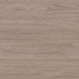 Kallum - Bleached Elm 9X48 LOW GLOSS - Image 2