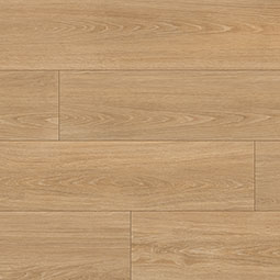 Placero Timber 10X60 MATTE