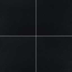Premium Black 12X12 Honed