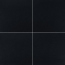 Premium Black 12X12 Polished