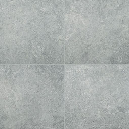 Lunar Silver 24X24 Matte