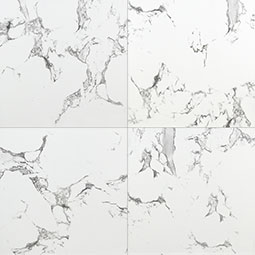 Pietra Statuario 24X24 Matte