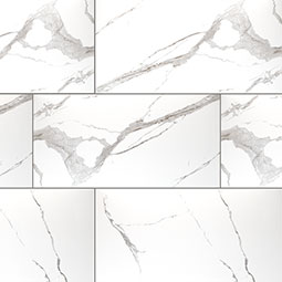 Eden Statuary 12X24 Matte POLISHED