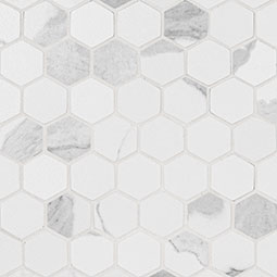 Eden Statuary 2X2 Hexagon Matte
