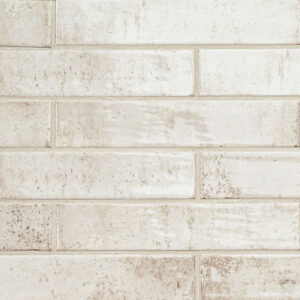 Stella Biscotti 2X10 Glossy