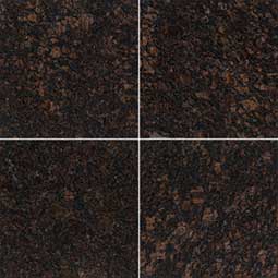 Tan Brown 12X12 Polished